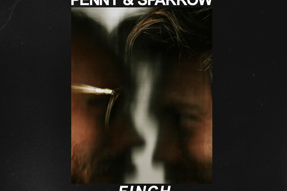 Harmonies Near And Far Fly Through Penny Sparrow S Finch No Depression