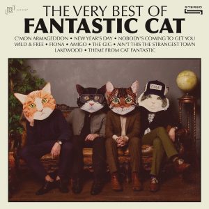 the album cover for The Very Best of Fantastic Cat
