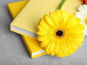 yellow covered books topped by a bright yellow flower